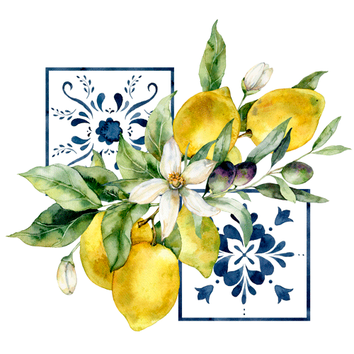 MAIOLICHE - LIMONI