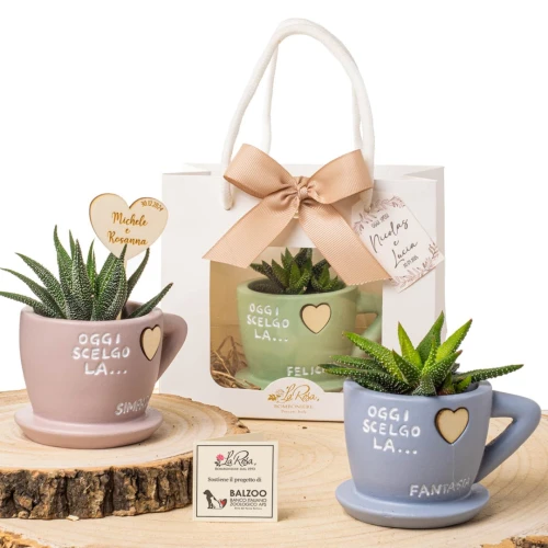 Bomboniere Linea Cup 2026 Vasetti portapiantina in terracotta a forma di tazzina