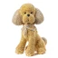 Bomboniera Cagnolino Barboncino Glitterato Oro o Argento