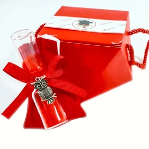 Ultimi 22 pezzi Bomboniere laurea Scatolina con sacchetto portaconfetti rosso, gufetto e clessidra