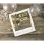 photo booth - kit per foto simpatiche Gentleman