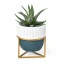 ⚡ OFFERTISSIMA Bomboniera Portapiantina Linea Eterno con Stand Dorato