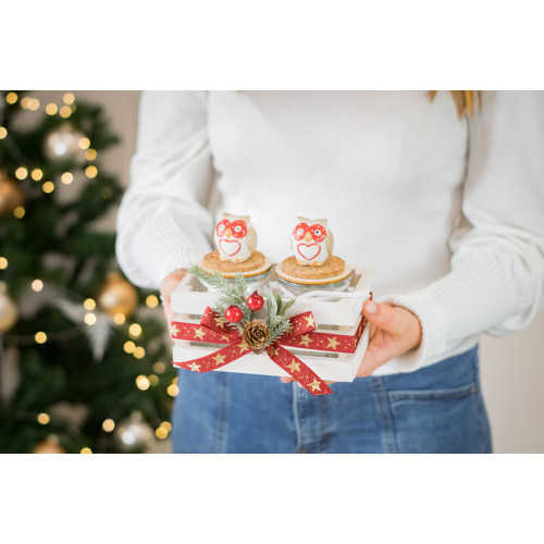 Idea Regalo Natale - Idea Regalo coppia barattoli con cassetta decorata