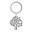 ALBERO ARGENTO