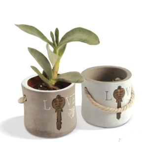 Bomboniere Solidali Quadrifoglio Abio 2026 Chiave