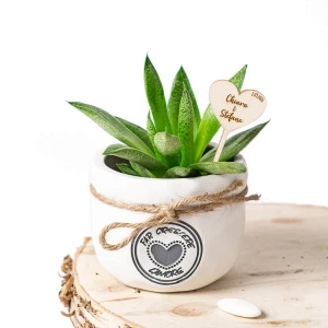 Bomboniere 2026 Linea Crescere Vaso porta piante Medio in terracotta con frase e cuore