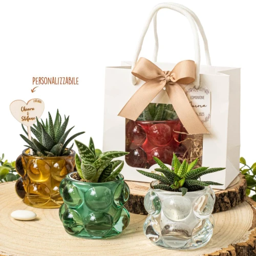 Bomboniere 2026 Portapiantina bubble colorato in vetro