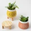Bomboniera Vaso Porta Piantina in Terracotta con Scritte e base in legno