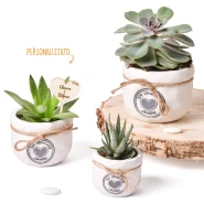 Bomboniere 2026 Linea Crescere Vasi porta piante in terracotta con frase e cuore