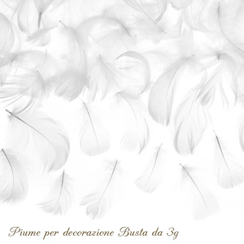 Piume Bianche per Decorazione e Allestimenti