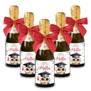 Bomboniere Mini bottiglie Prosecco Personalizzate o Segnaposto Tema Laurea con Gufetto
