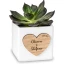 Bomboniere Vasetti di Ceramica Personalizzati con Nomi e Data per Piante Grasse Mini Cactus