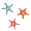 Offerta Bomboniere Tema Mare Calamite in Promozione
