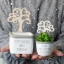 ⚡ OFFERTISSIMA Bomboniera Vaso in cemento Porta Piante con albero e frasi