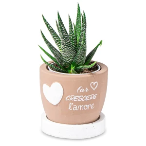Bomboniere 2027 Linea L'Amore Vaso Standard Portapiantine con base e frasi