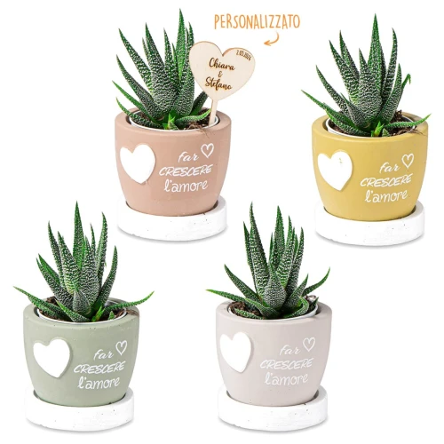 Bomboniere 2026 Linea L\'Amore Vasi Portapiantine con base e frasi