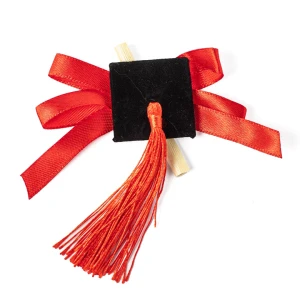 Segnaposto o Applicazione Cappellino per Laurea