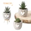 Bomboniere 2027 Linea Decoro Portapiantina con cuore decorati Personalizzabile