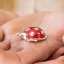 Idea Bomboniera Portafortuna Coccinelle Rosse e Argento