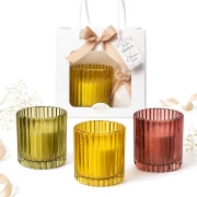 ⚡OFFERTISSIMA Bomboniere 2027 Candele 3 colori di design
