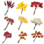 frutti pick per decorare bomboniere fai da te