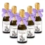 Bomboniere Mini bottiglie Prosecco Personalizzate o Segnaposto Tema Pattinaggio a Rotelle