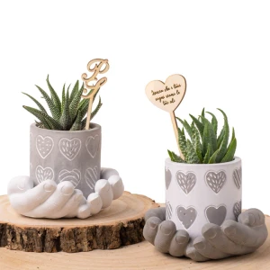 Bomboniere Linea Mille Cuori 2026 Vasetti standard portapiantina con mani e cuori