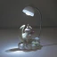 Bomboniere Unicorno Battesimo Nascita Bimba Lampada LED e Salvadanaio