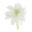 Fiore Dalia in tessuto per Bomboniere fai da te diam. 9 cm