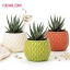 Bomboniera Vaso Porta Piantina grassa in Ceramica di design