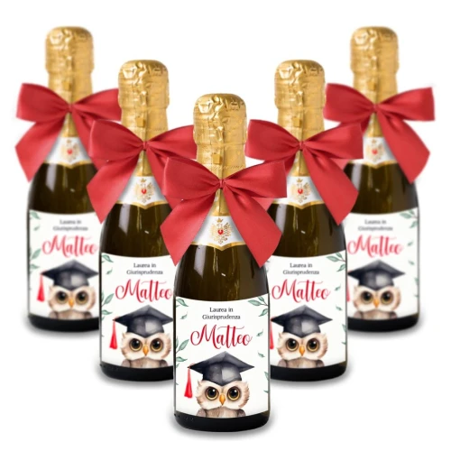 Bomboniere Mini bottiglie Prosecco Personalizzate o Segnaposto Tema Laurea con Gufetto