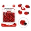 applicazione coccinelle adesive 100 pezzi