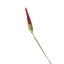 peperoncino finto per bomboniere
