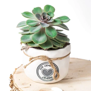 Bomboniere 2026 Linea Crescere Vaso porta piante Grande in terracotta con frase e cuore
