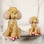 Bomboniera Cagnolino Barboncino Glitterato Oro o Argento