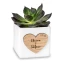 Bomboniere Vasetti di Ceramica Personalizzati con Nomi e Data per Piante Grasse Mini Cactus