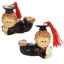 maschio