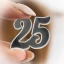 Applicazioni numero 25 argentato in plexiglass per Nozze D\'Argento