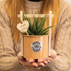 Bomboniere Linea Targa 2026 Vasetto portapiantina Barattolo con sostegno in legno standard in metallo