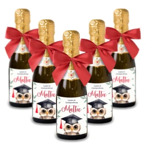 Bomboniere Mini bottiglie Prosecco Personalizzate o Segnaposto Tema Laurea con Gufetto