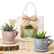 Bomboniere Linea Cup 2026 Vasetti portapiantina in terracotta a forma di tazzina