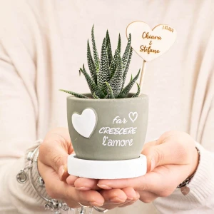 Bomboniere 2026 Linea L'Amore Vaso Grande Portapiantine con base e frasi