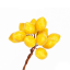 LIMONI