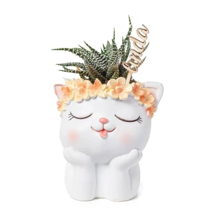 Bomboniere 2026 Vaso Portapiantina Gattino - Alta Qualità