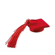 Segnaposto o Applicazione Cappellino per Laurea