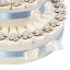 Torta Bomboniere Tartarughe argento con 43 fette