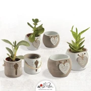 Bomboniere Solidali Matrimonio Quadrifoglio 2020  vasi Porta piantina grassa 