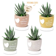 Bomboniere 2026 Linea L'Amore Vasi Portapiantine con base e frasi