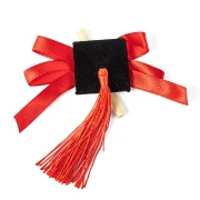Segnaposto o Applicazione Cappellino per Laurea