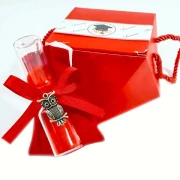 Ultimi 22 pezzi Bomboniere laurea Scatolina con sacchetto portaconfetti rosso, gufetto e clessidra